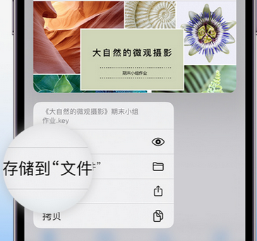 抚松apple维修中心分享iPhone文件应用中存储和找到下载文件