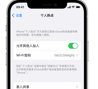 抚松apple服务站点分享iPhone上个人热点丢失了怎么办 