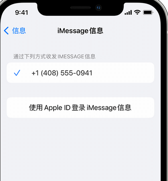 抚松apple维修iPhone上无法正常发送iMessage信息 