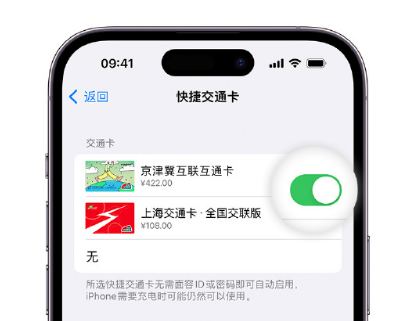 抚松apple维修点分享iPhone上更换Apple Pay快捷交通卡手绘卡面 