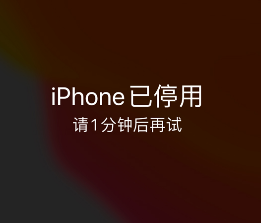 抚松苹果手机维修分享:iPhone 显示“不可用”或“已停用”怎么办？还能保留数据吗？ 