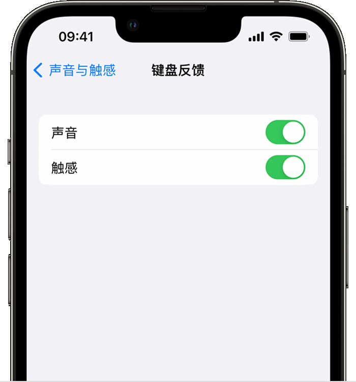 抚松苹果14维修店分享如何在 iPhone 14 机型中使用触感键盘 