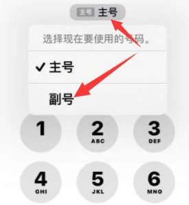 抚松苹果14维修店分享iPhone 14 Pro Max使用副卡打电话的方法 