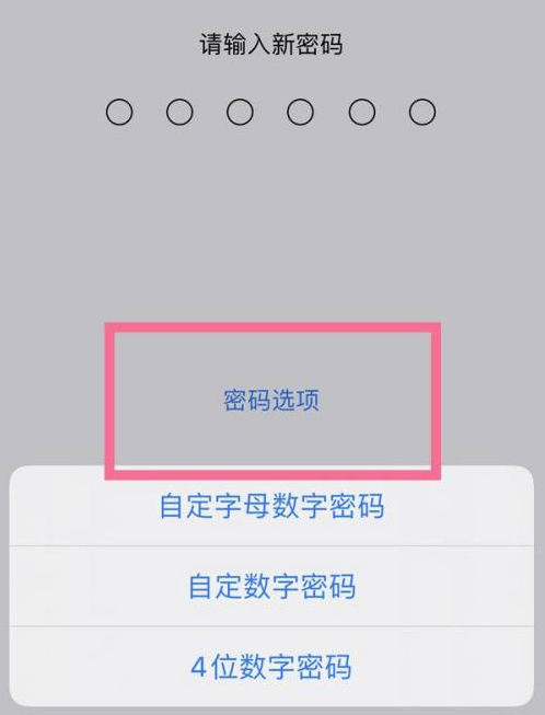 抚松苹果14维修分享iPhone 14plus设置密码的方法 