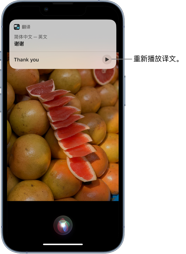 抚松苹果14维修分享 iPhone 14 机型中使用 Siri：了解 Siri 能帮你做什么 