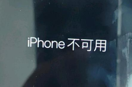 抚松苹果服务网点分享锁屏界面显示“iPhone 不可用”如何解决 