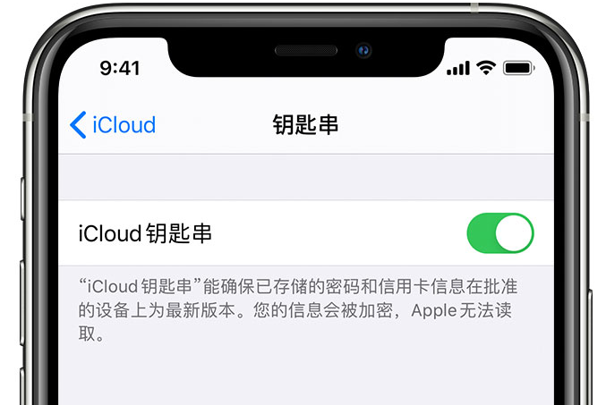 抚松苹果手机维修分享在 iPhone 上开启 iCloud 钥匙串之后会储存哪些信息 