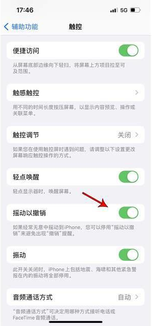 抚松苹果手机维修分享iPhone手机如何设置摇一摇删除文字 